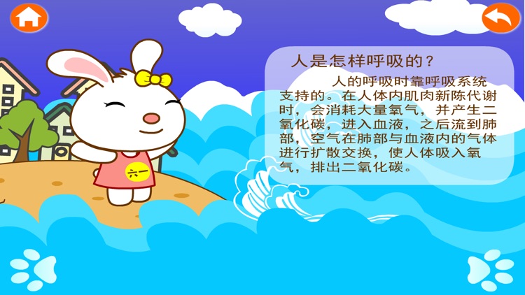 兔宝宝和十万个为什么：人体奥秘篇