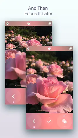 Game screenshot Live Focus apk