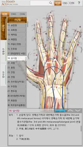 Game screenshot Hand Acupuncture hack