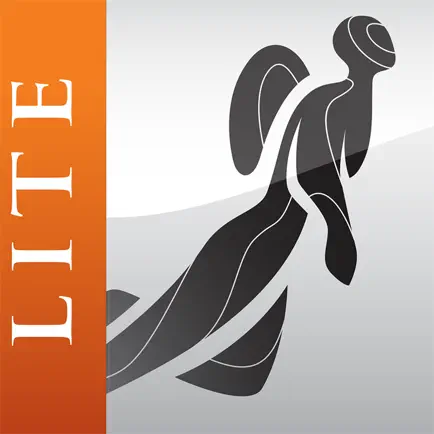 DiverLog Lite Cheats