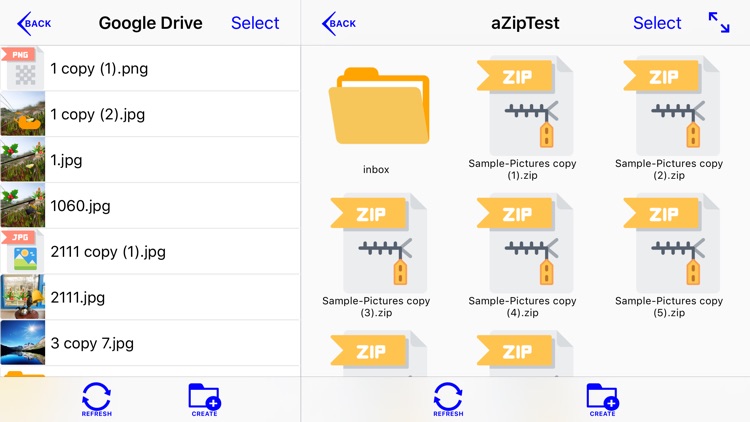 CloudEye Pro - File Browser screenshot-5
