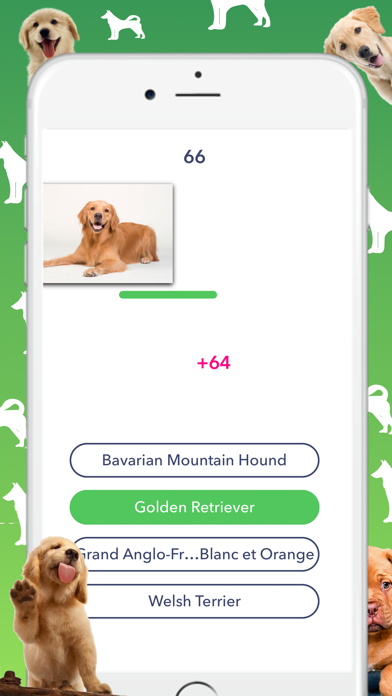 Screenshot #2 pour Dog Quiz - Which dog is that?