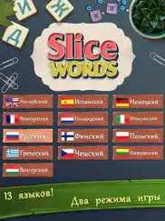 slice words айпад изображения 1