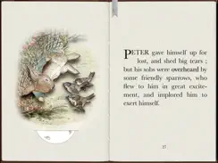 PopOut! The Tale of Peter Rabbit - Potter iPad image 3