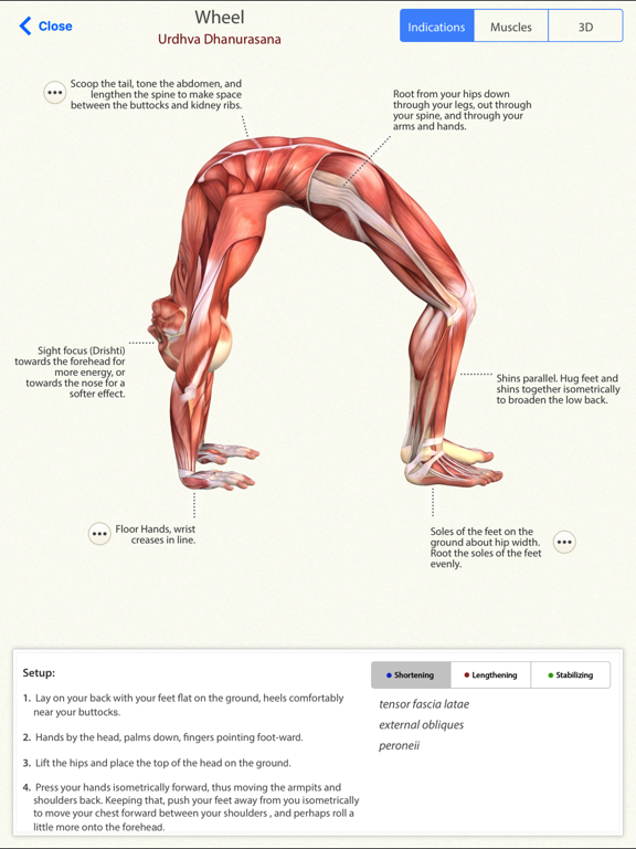 Screenshot #2 for 3D Yoga Anatomy