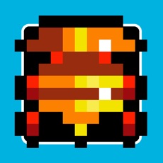 Activities of Lunar Patrol