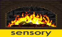 Sensory Flames  logo