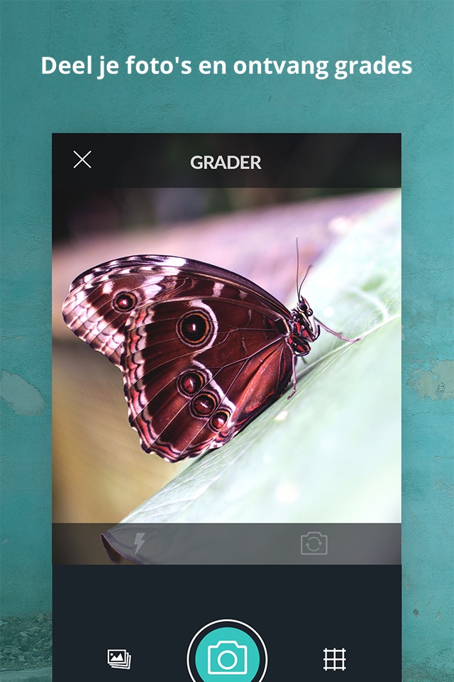 Grader - Photo Rating Network screenshot 2