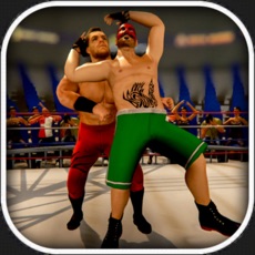 Activities of Wrestling Revolution Mayhem 3D