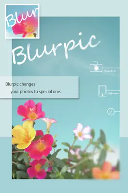 Game screenshot Blurpic - for your memory - mod apk