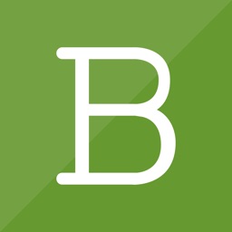 Budgens Mobile Console