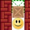 Brain Box Puzzle is a type of logical puzzle that is entertaining but at the same time challenging
