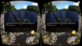 Game screenshot VR Stream by Homido apk