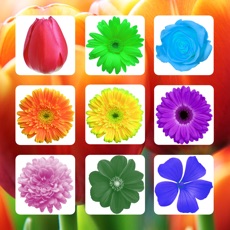 Activities of Flower Sudoku  - Puzzle Game