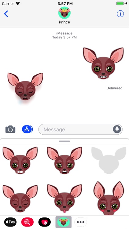 Animated Red Chihuahua