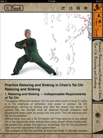 Chen's TaiChi 83 Traditional screenshot 4