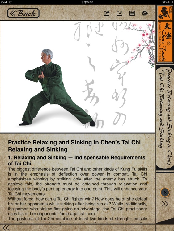 Chen's TaiChi 83 Traditional screenshot-3