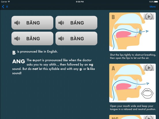 Standard Mandarin iPad screenshot 3 - Education app