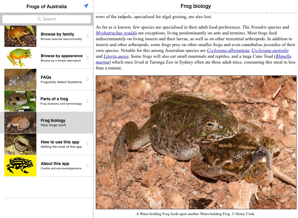 Frogs of Australia screenshot 3