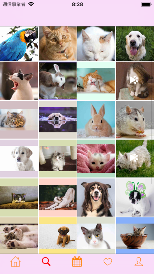 #5. Diary for Pet (iOS) Podle: tadaki tokairin