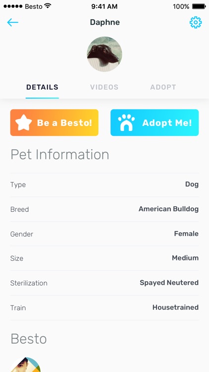 Besto: Get Pets Adopted