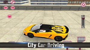 Fast Car Test Skill screenshot #3 for iPhone