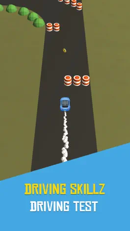 Game screenshot Driving Skillz mod apk