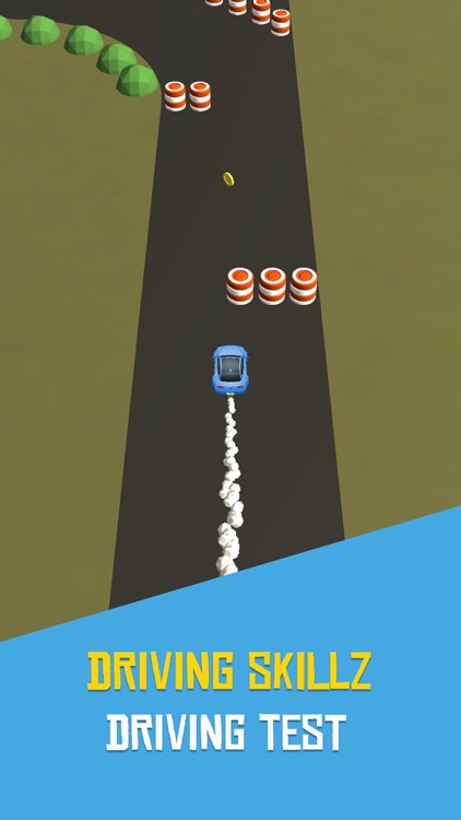 Driving Skillz screenshot-0