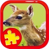 Animal Puzzle Pages Education Deer Jigsaw