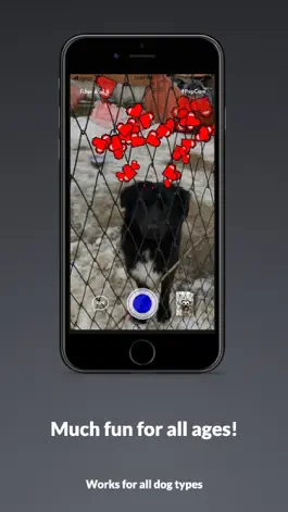 Game screenshot PupCam apk