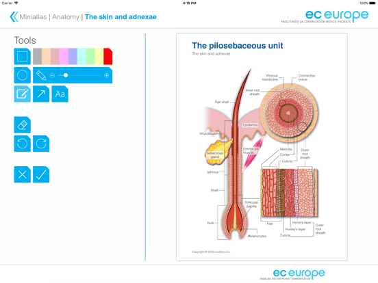 Miniatlas Anatomyのおすすめ画像4