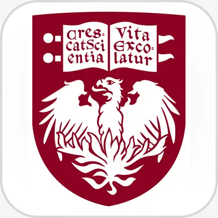 U of Chicago Experience Читы