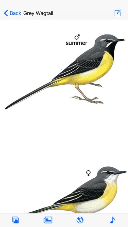eGuide to Birds of the Middle East