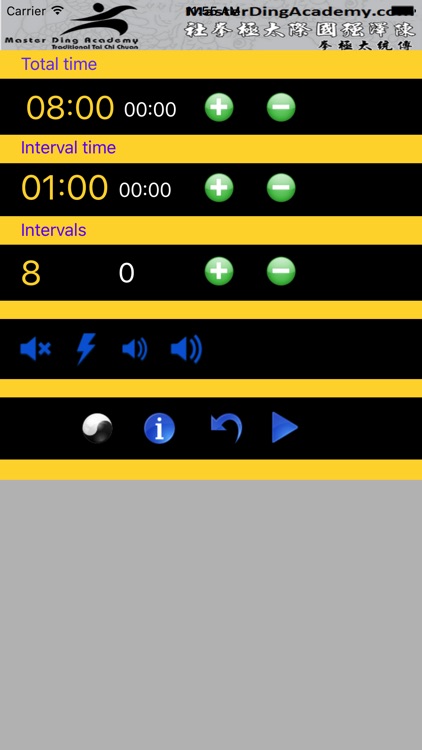 Master Ding Tai Chi Timer