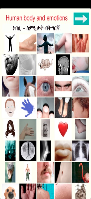 Tigrigna Human body & emotions(圖1)-速報App