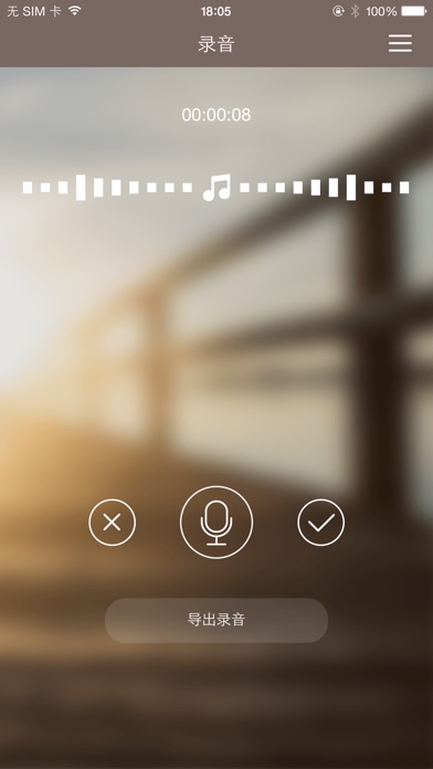 Audio Recorder Plus screenshot 2