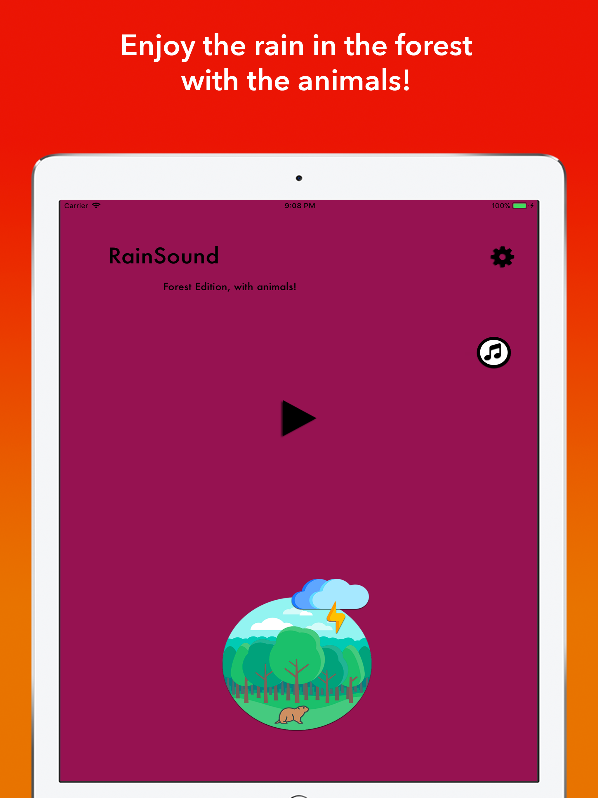 RainSound in Forest