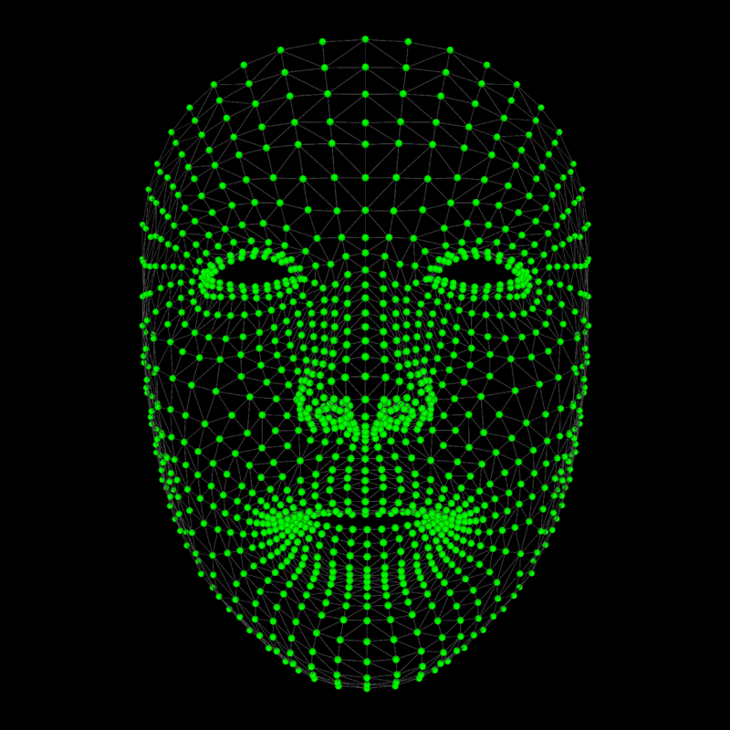 Face Mesh