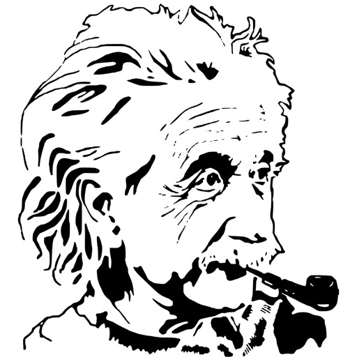 Einstein puzzle