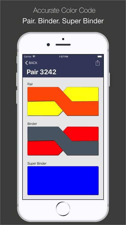 CopperPairs | Color Code screenshot-0