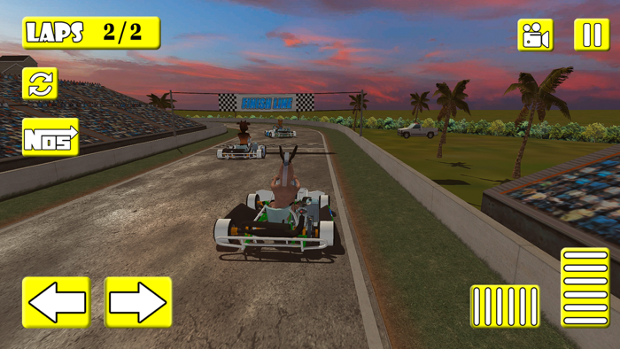 Mad Animal Karting Simulator