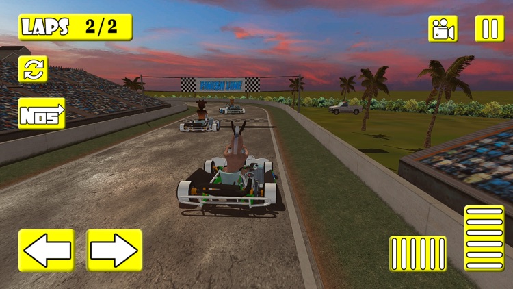 Mad Animal Karting Simulator