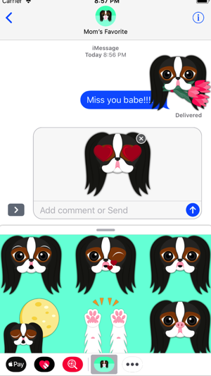 Tri Color Japanese Chin(圖2)-速報App