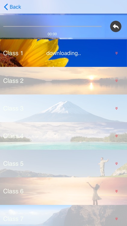 Sahaja Yoga Dutch screenshot-4