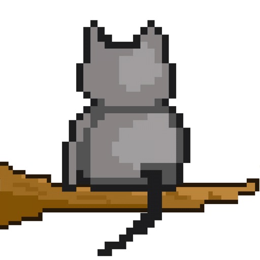 Chase Cat