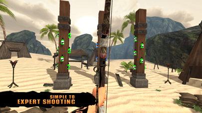 Bottle Shoot Archery Games screenshot 4
