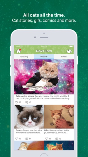Amino for: Cats and Kittens