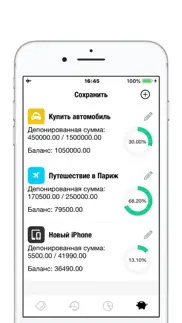 nextcost - Мои расходы,Кошелек айфон картинки 4