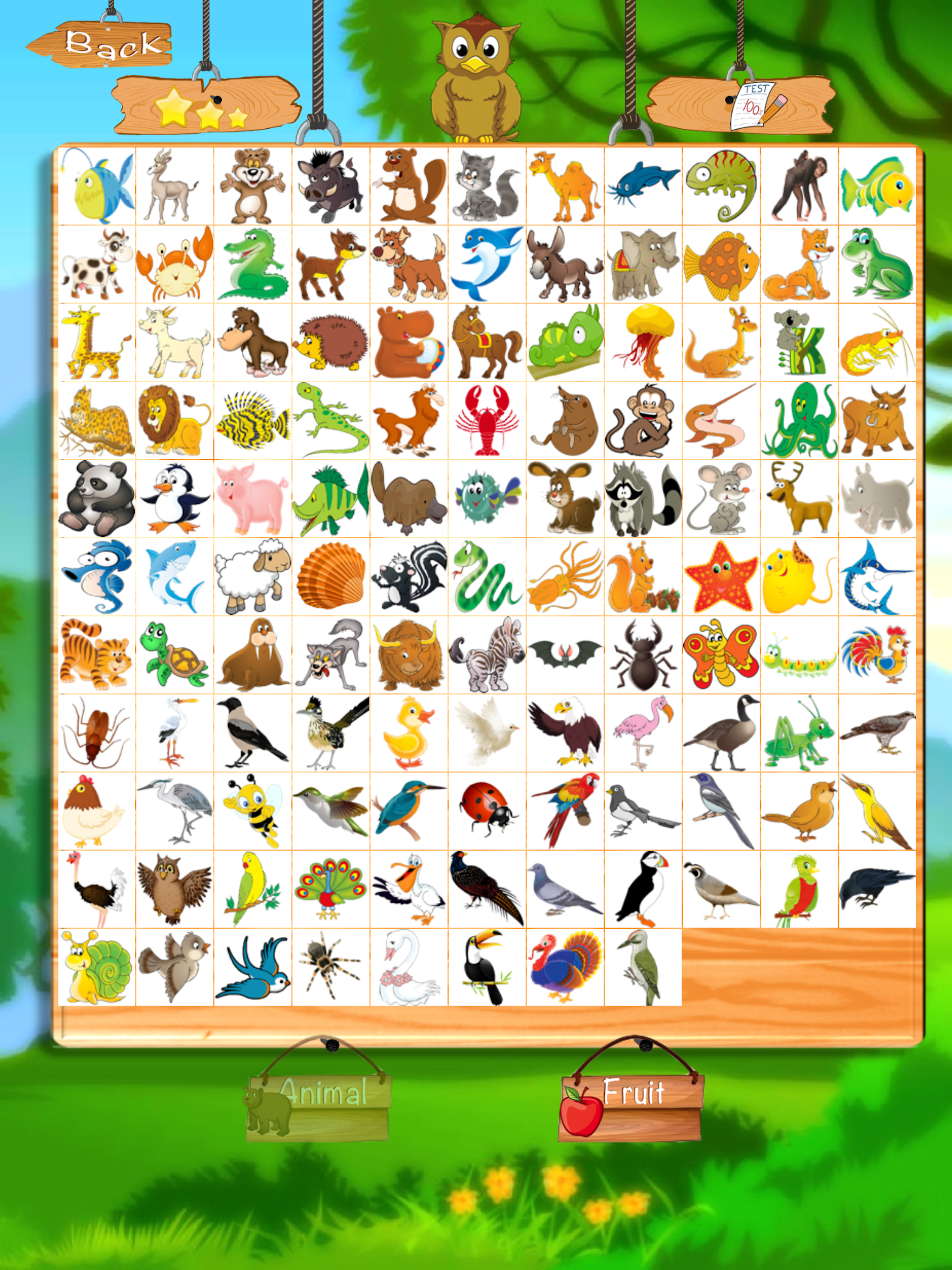 First Words Animals and Fruits