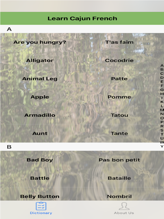 LearnCajun iPad screenshot 2 - Education app